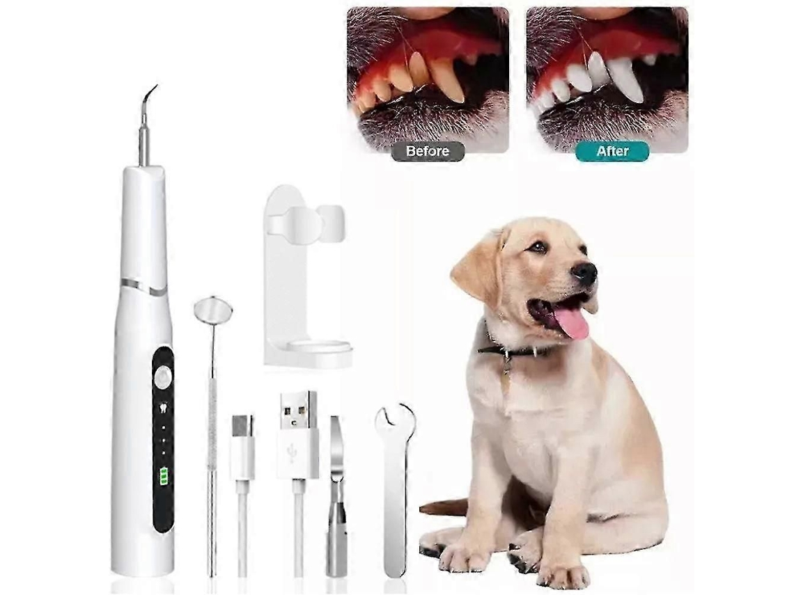 Limpador de dentes ultrassônico GOKOCO para cães e gatos com 3 modos