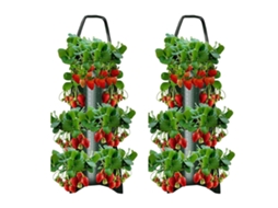 Fita Adesiva Reutilizável LYYTUNG, para Plantas, 10m, 12mm de Diâmetro