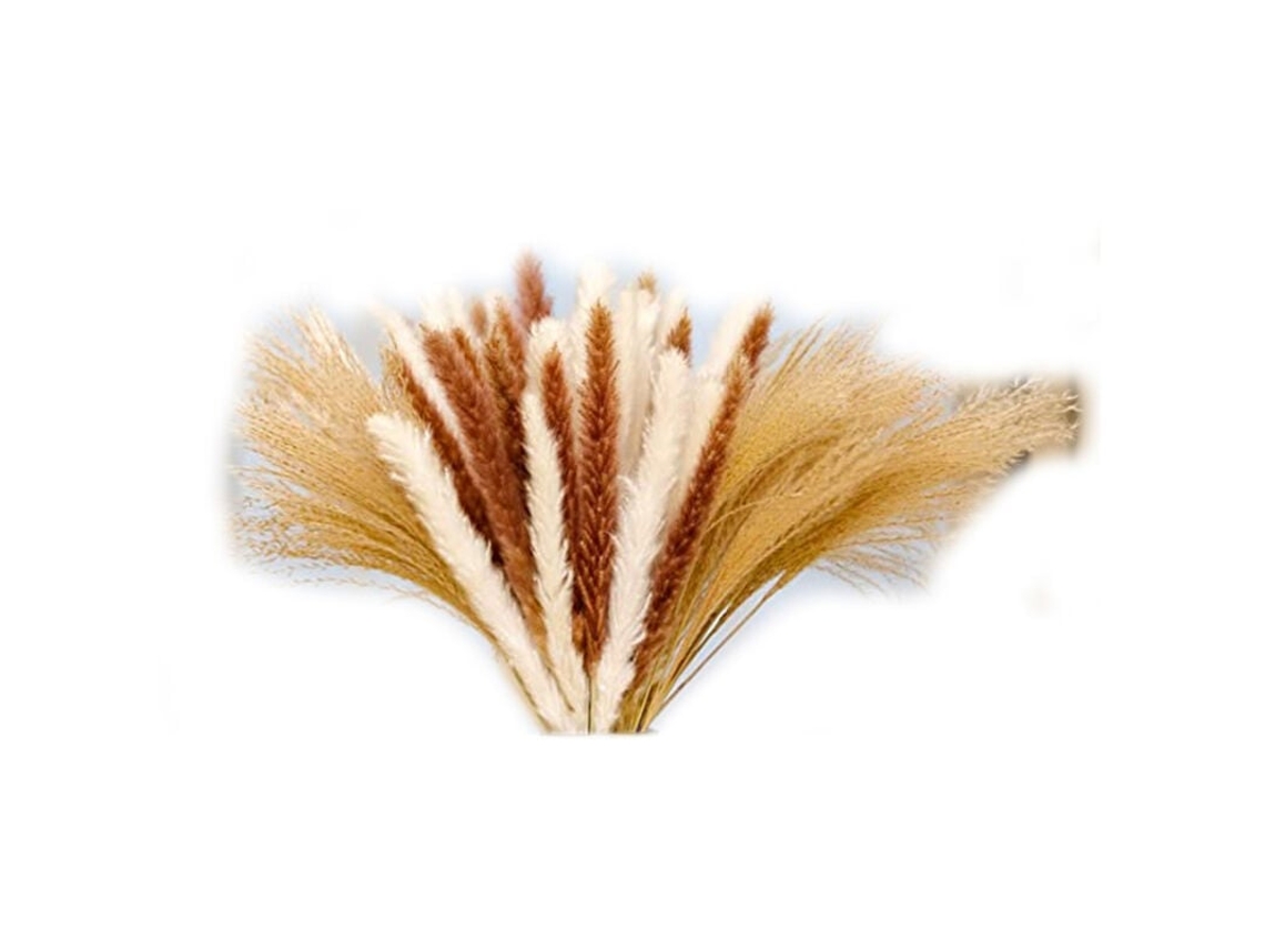 65 Hastes de Capim, Dos, Pampas Seco, Ideal para Arranjos Boêmios, Decoração de Casamento, Arranjos Florais e Presentes para Mulheres BRILVIBERA