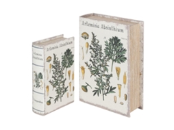 Plantas de Livros de Caixas Set 2U BY SIGRIS Lavanda e Olive de Mdf e Pvc 7X18X27Cm Multicolor