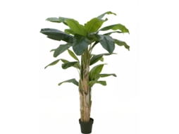 Planta Artificial EUROPALMS Banana (Verde - 170 cm)