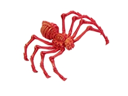 Laxiscreed - Kit De Aranhas 3d Para Montar, Brinquedos Flexíveis E Decoração De Halloween