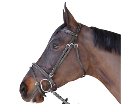 Cabeçadas, planas, forradas CANTER