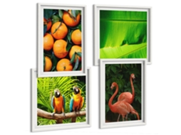 Composição De Quadros Motivos Tropicais Natureza Frutas Espelharte (4 Peças)
