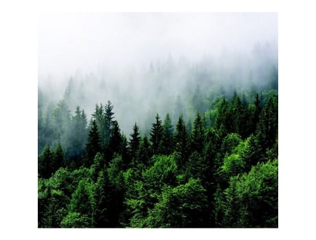 Papel De Parede Floresta Com Neblina Ag Art