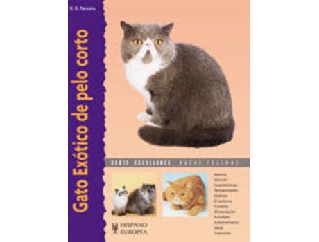 Livro Gato Exótico De Pelo Corto de Roy Parsons