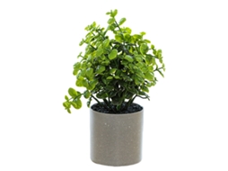 Bola De Flores Artificiais Bonsai Planta Verde Planta Em Vaso Decoração Casa Festa