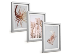Quadros Decorativos Para Paredeconjunto De Fundo Claro Com Flores E Grama Moldura Prateada Quadros Para O Escritório Espelharte (3 Peças 20x30 Cm)