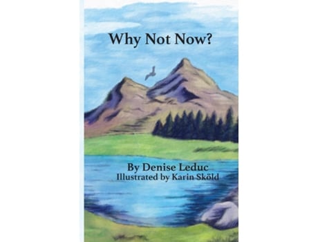 Livro Why Not Now De Denise Leduc (inglês)
