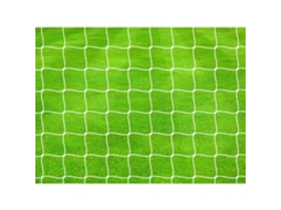 Rede de Futebol para a Baliza PRECISION Pro X2
