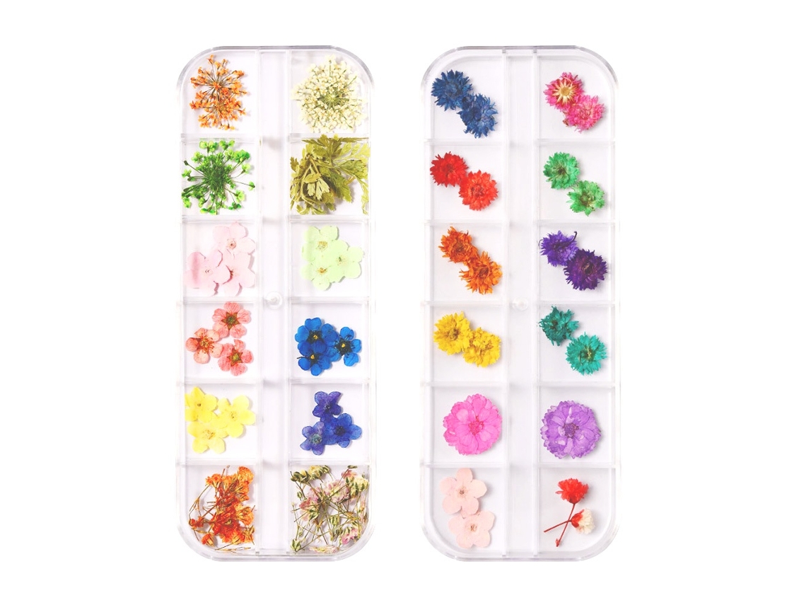 Decoração De Unhas Elysve 2 Caixas De Flores Secas Para Decoração De Unhas