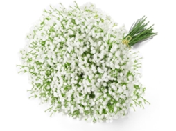 Buquê com 6 Flores Artificiais Realistas de Gypsophila AQUAFORGE (branco)