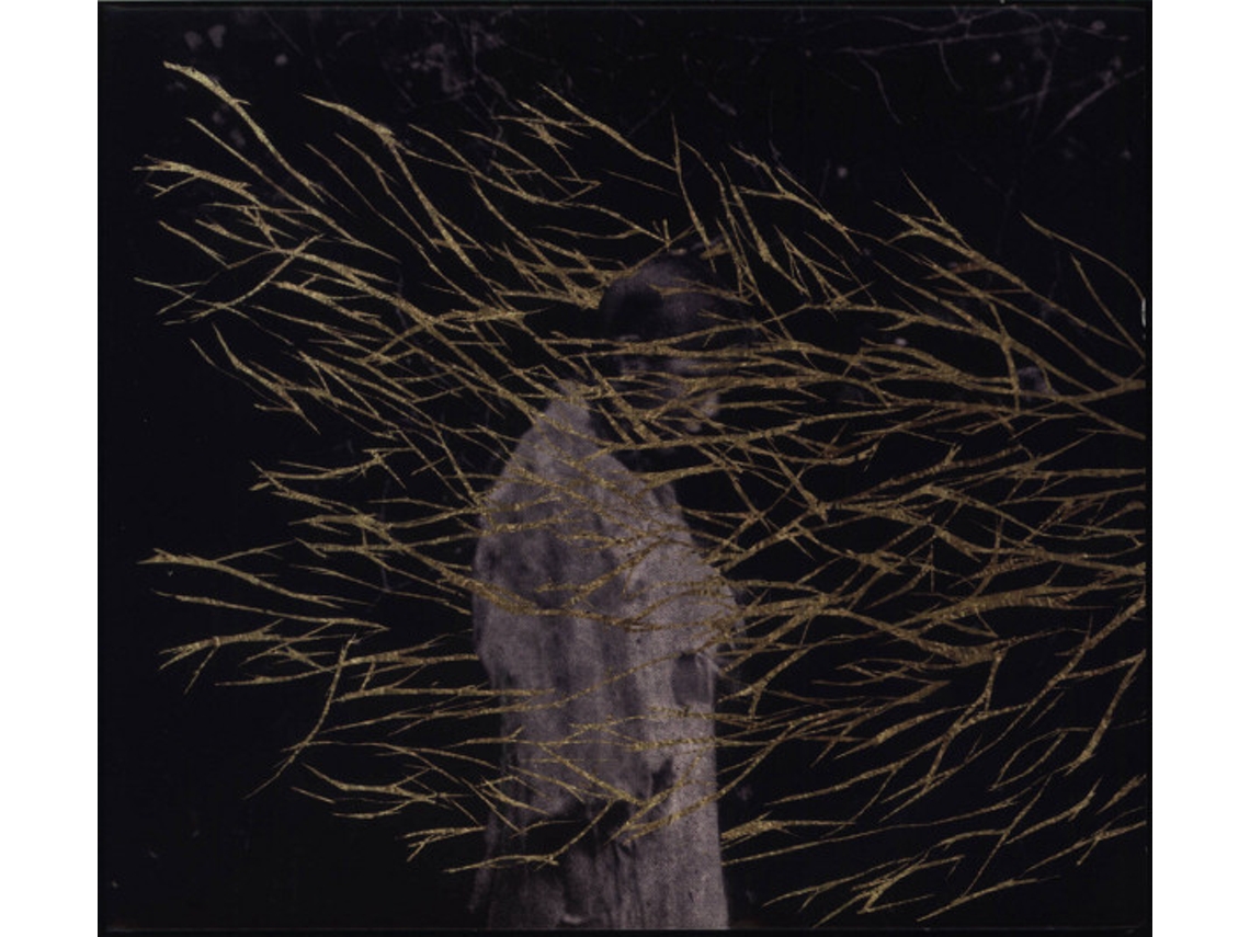 CD Forest Swords - Engravings