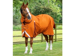 Manta Impermeável para Cavalos com Capa de Pescoço PREMIER EQUINE Buster Combo 200G