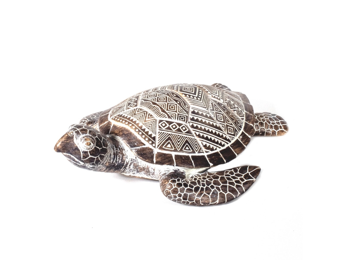 Tartaruga BY SIGRIS