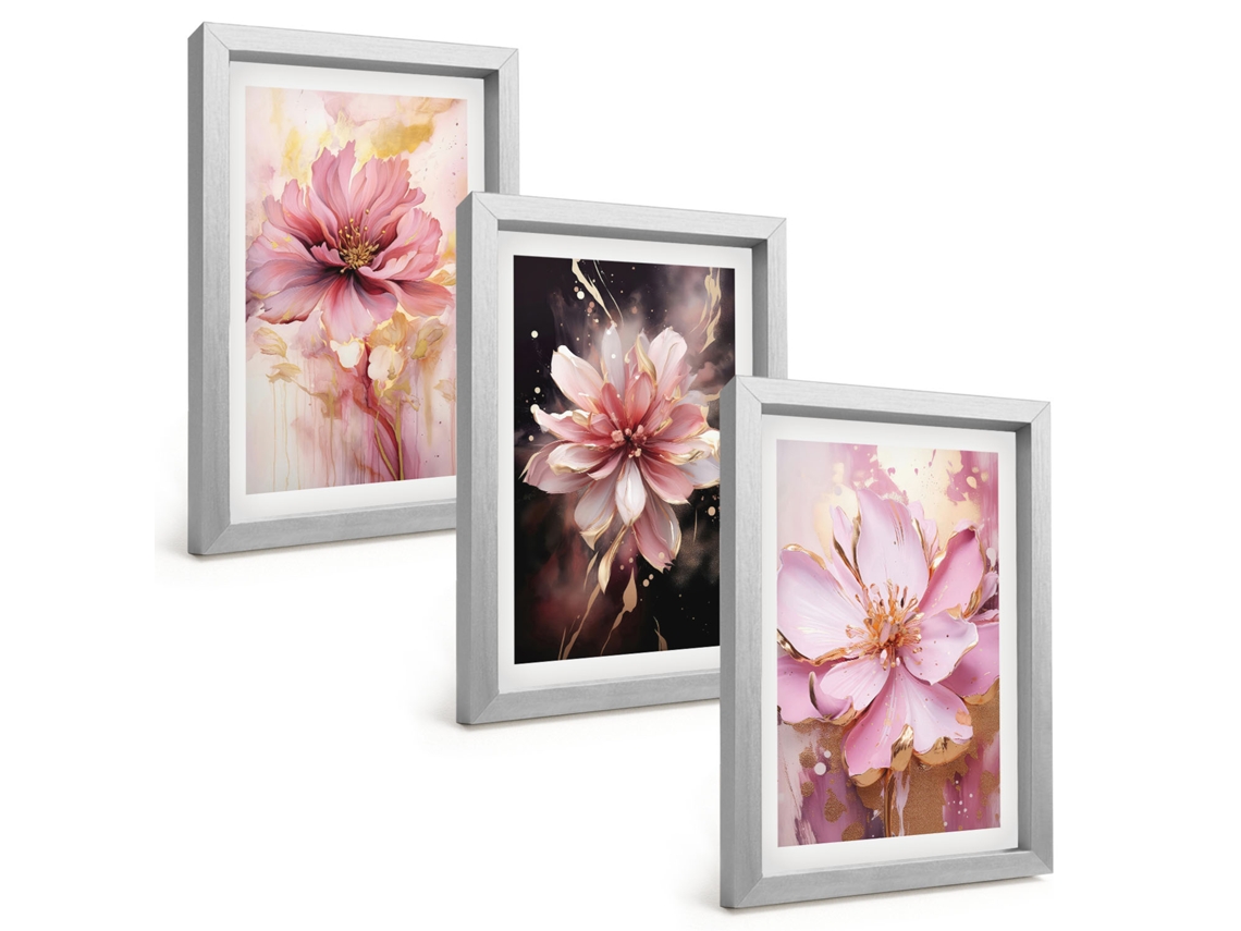 Pinturas Murais Modernascomposições Florais Em Tons De Rosa E Branco Moldura Prateada Fotos Para O Corredor Espelharte (3 Peças 20x30 Cm)
