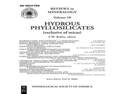 Livro Hydrous Phyllosilicates de De Gruyter (Inglês)