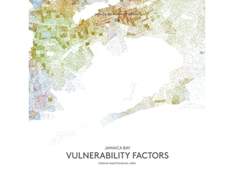 Livro Jamaica Bay Pamphlet Library 06 Jamaica Bay Vulnerability Factors de Catherine Seavitt Nordenson (Inglês)