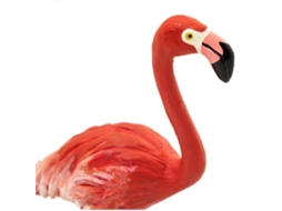 SAFARI Flamingo