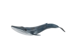 Primerox brinquedo Infantil Modelo de Peixe Simulação Cute Decor Casa Educativo para Crianças