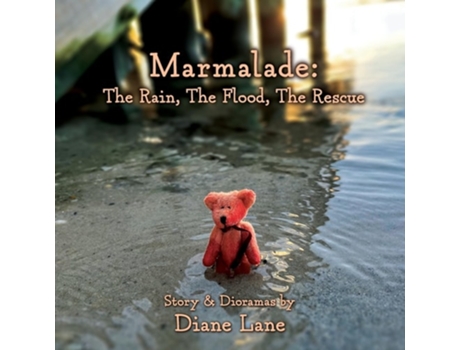 Livro Marmalade The Rain, The Flood, The Rescue de Diane Lane (Inglês)