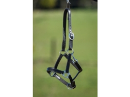 Cabresto de couro forrado para cavalos HFI