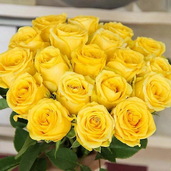 10 Rosas Artificiais Amarelas. Hastes Longas e Simples, Textura Realista, Simulação Perfeita BRILVIBERA