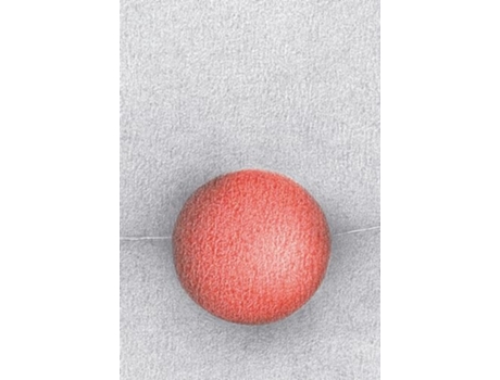 Livro Vermelho de Daniela Galanti (Português)