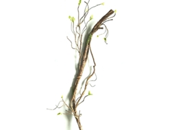 Ramo Artificial Seco 90cm Decoração Casa Jardim Escritório