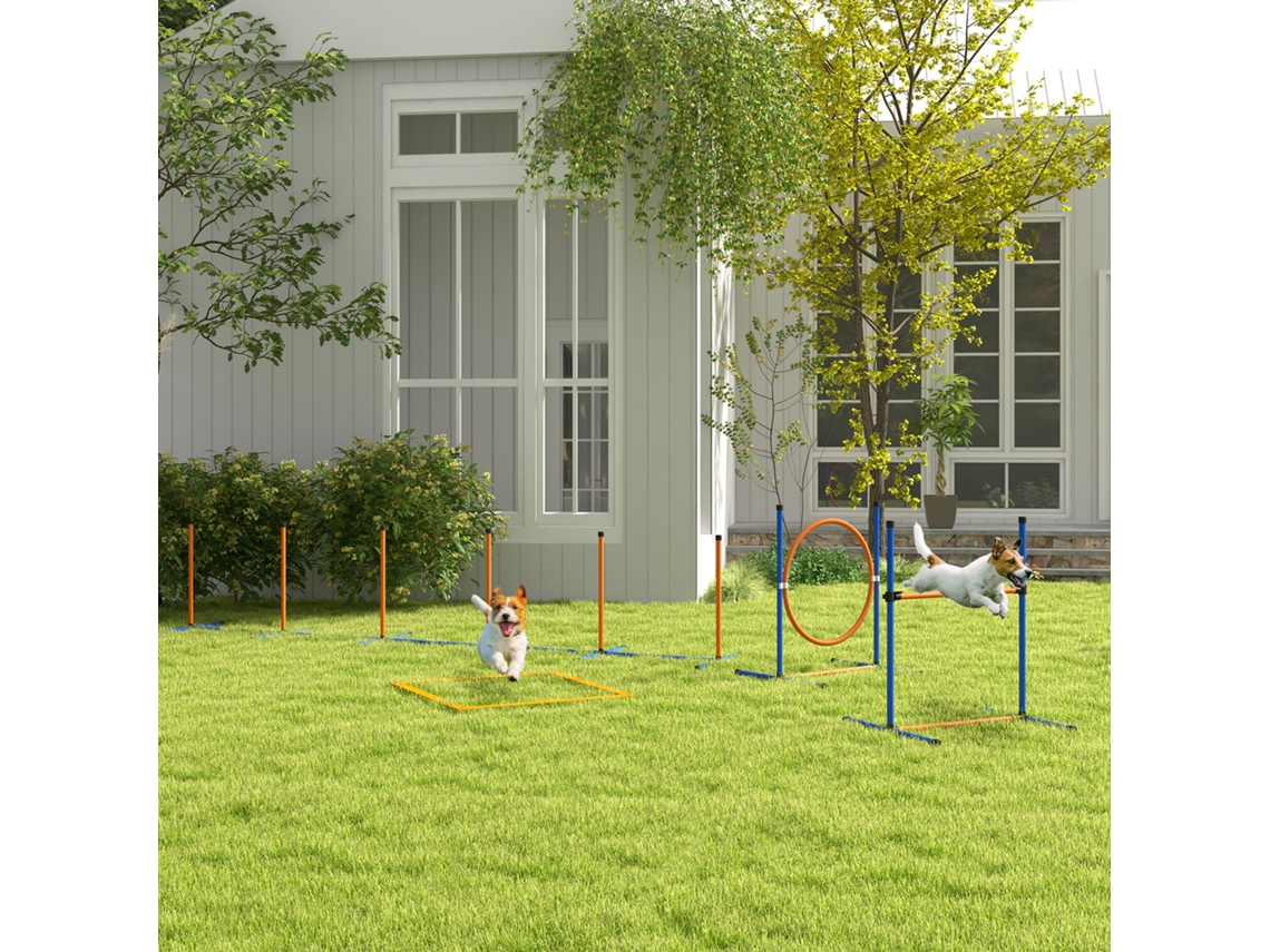 Conjunto Agility Dog Com Anel E Barra Para Salto, Postes Slalom, Apito, Bolas Bolsa, Laranja
