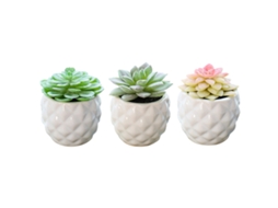 3 Peças de Planta Suculenta Simulada em Vaso Decoração Criativa Bonsai de Cerâmica em Forma de Abacaxi NEVEANCE