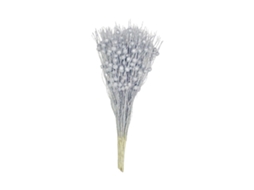 Decoração de Natal com Bolas de Ouro, Pack de 100 LAXISCREED