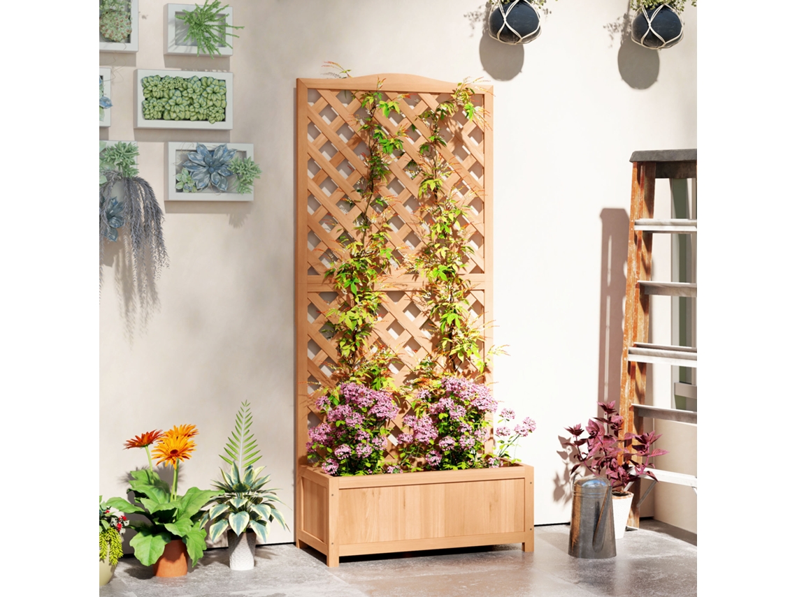 Vaso Com Treliça Para Plantas Trepadeiras E Base, Design Moderno E Funcional, Versátil