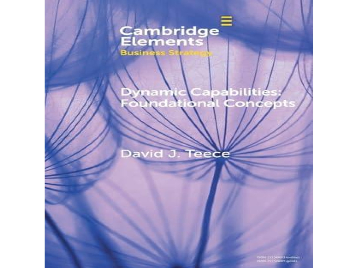 Livro Dynamic Capabilities de David J Teece (Inglês)