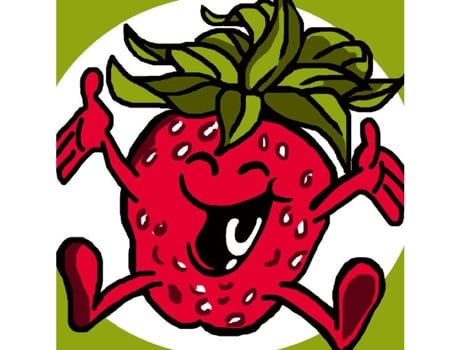 Kit Morango Sudão Canevas 25x25cm Luc