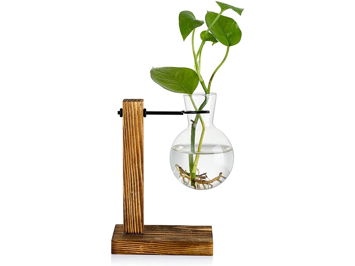 Vaso De Vidro Transparente Com Suporte De Madeira Decoração