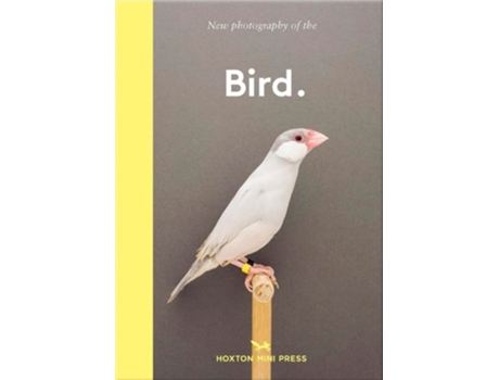 Livro Bird. de Gemma Padly (Inglês - Capa Dura)