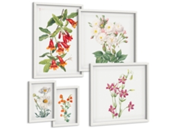 Quadros Decorativos Para Parede Composições Florais Retrô Moldura Branca Quadros Para O Escritório Espelharte (conjunto De 5 Imagens)