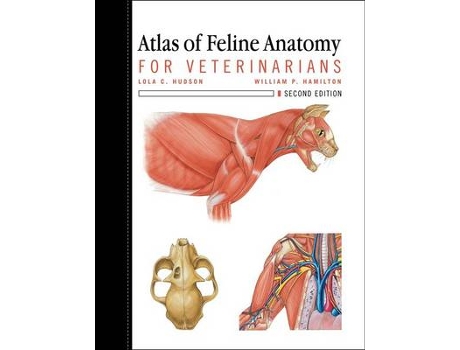 Livro Atlas of Feline Anatomy For Veterinarians de Lola Hudson e William Hamilton (Inglês)