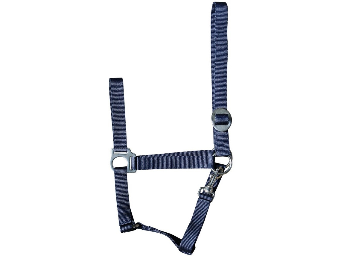Cabresto para cavalos Harry's Horse Economy