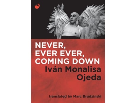 Livro Never, Ever Ever, Coming Down De Iván Monalisa Ojeda (inglês)