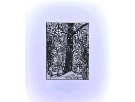 Livro Woods de David Schoerner (Inglês)