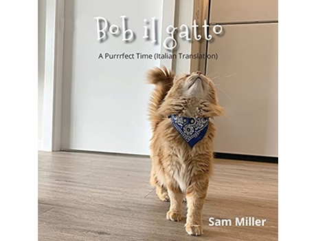 Livro Bob il gatto Italian Edition de Sam Miller (Italiano)