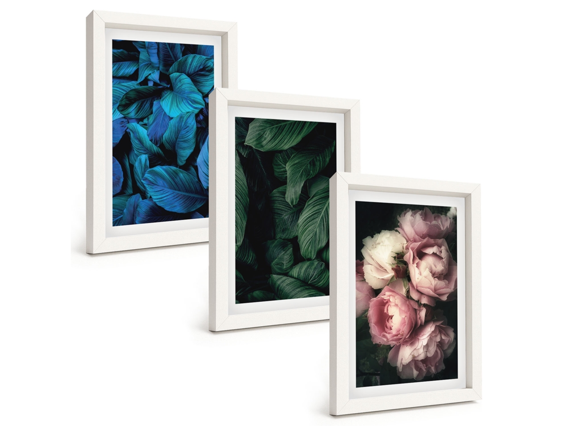 Composição De Quadros Folhas, Flores, Várias Cores Espelharte (3 Peças 20x30 Cm)