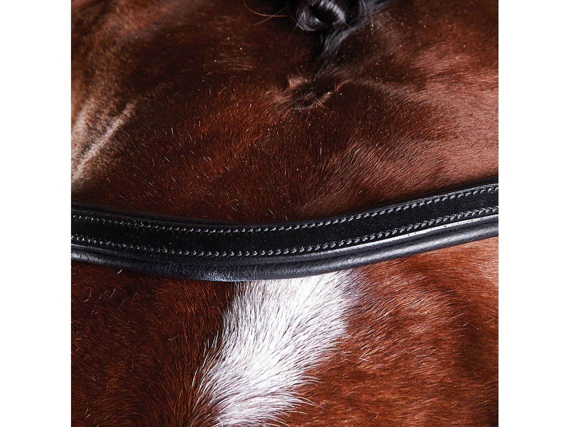 Cabeçadas de Treino para Cavalos WEATHERBEETA Collegiate Comfitec