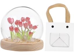 Luminária Noturna Tulipa Diy Gatuida, Conjunto Com 1 Unidade, Vidro E