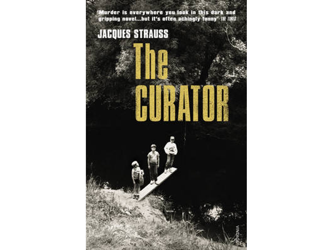 Livro The Curator de Jacques Strauss (Inglês)