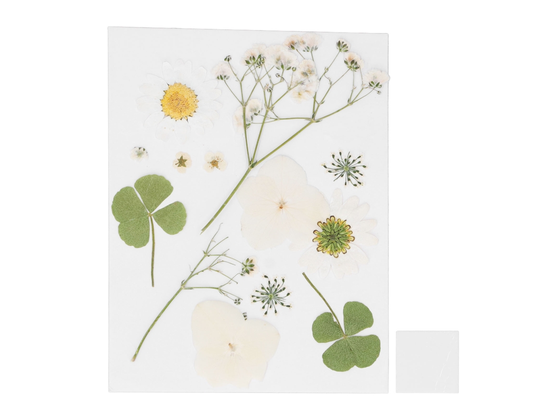Flores Secas Prensadas Para Diy: Marcapáginas Manual, Fundas De Teléfono, Espeímenes De Plantas, Resina Y Epoxi
