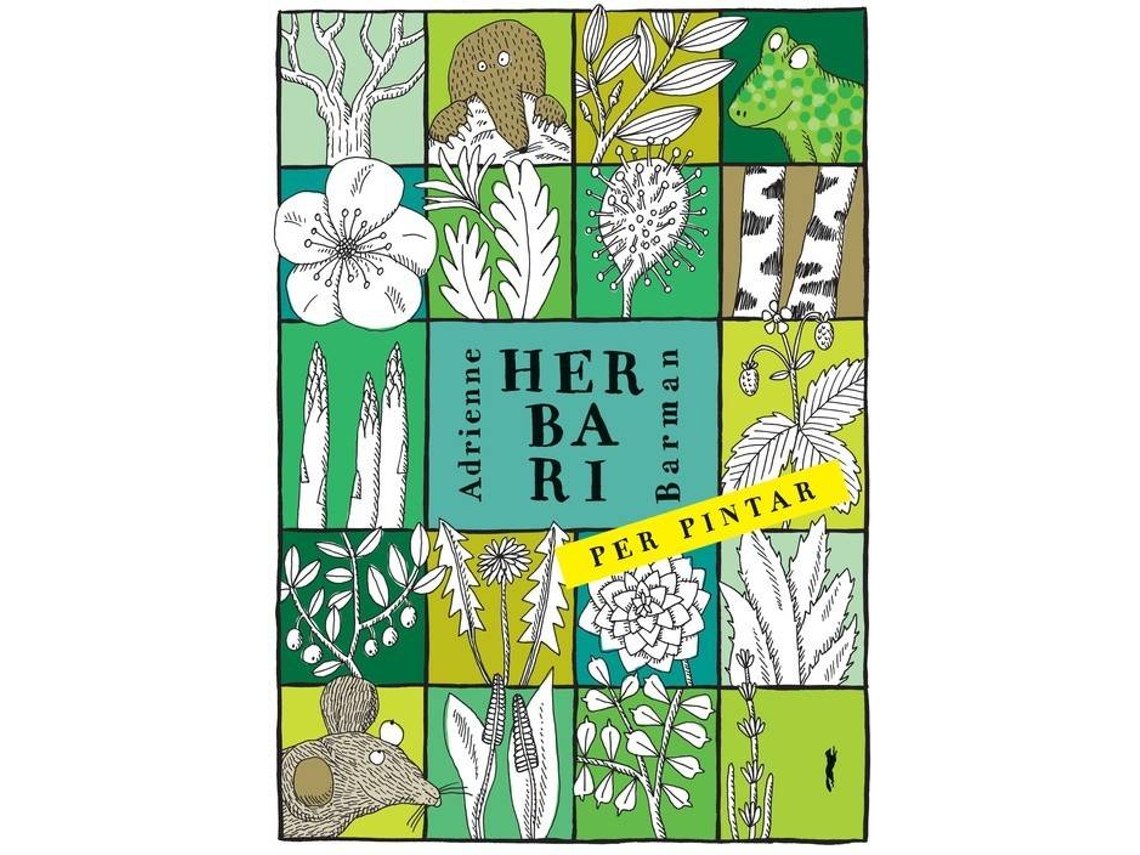 Livro Herbari Per Pintar de Barman Adrienne (Catalão)