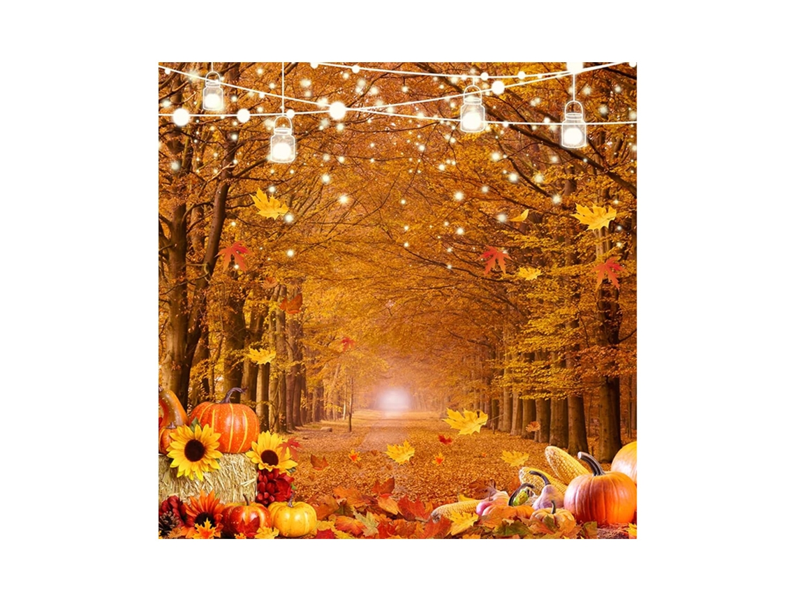 Fundo Fotográfico de Abóbora para Festas Decoração de Outono e Ação de Graças NEVEANCE